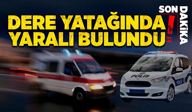 Dere yatağında yaralı bulundu!