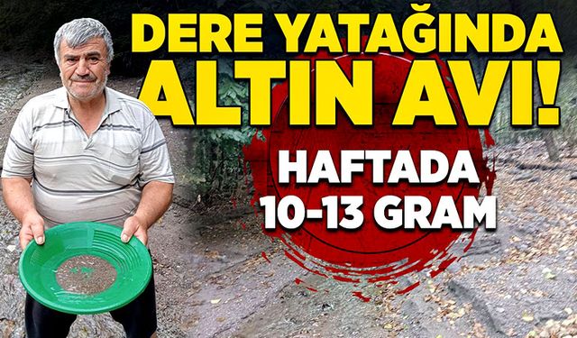 Dere yatağında altın avı! Haftada 10-13 gram…