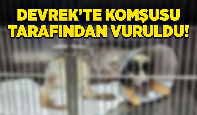 Komşusu tarafından vuruldu!