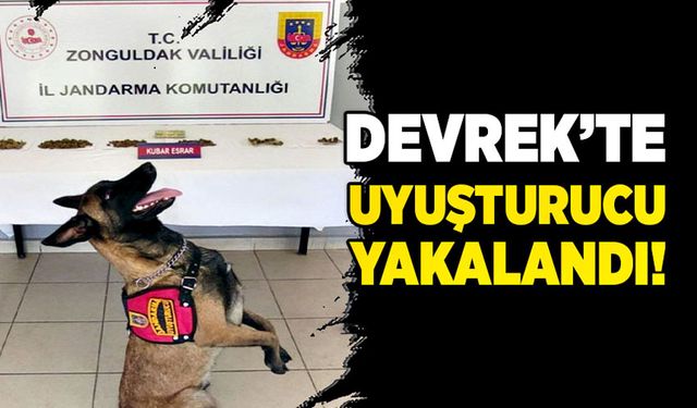 Devrek’te uyuşturucu ele geçirildi!