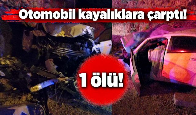 Kayalıklara çarpan otomobilin sürücüsü hayatını kaybetti!