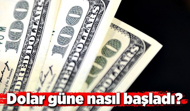 Dolar, Euro ne kadar?