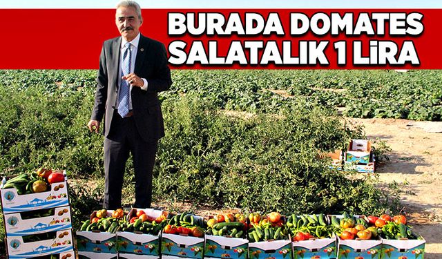 Burada domates salatalık 1 lira