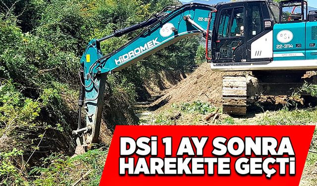 DSİ 1 ay sonra harekete geçti