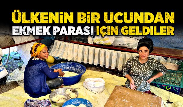 Ülkenin bir ucundan, ekmek parası için geldiler!