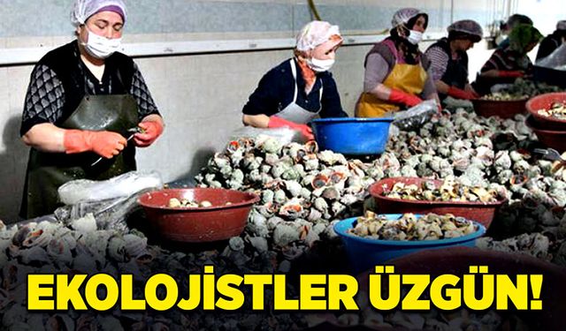 Ekolojistler üzgün!