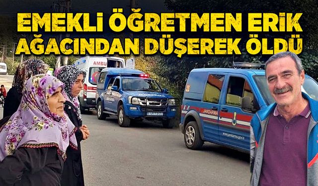 Emekli öğretmen erik ağacından düşerek öldü