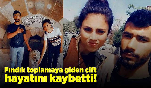 Fındık toplamaya giden çift hayatını kaybetti!