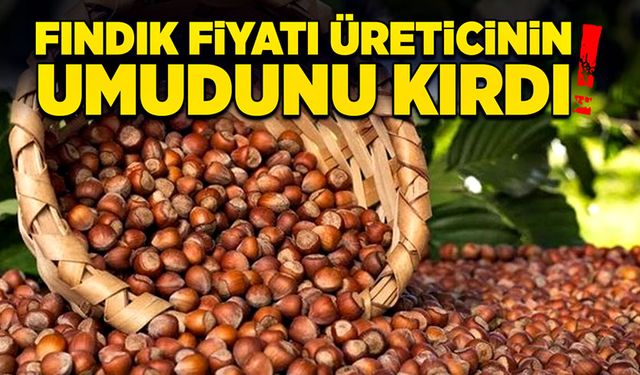 Fındık fiyatı üreticinin umudunu kırdı!