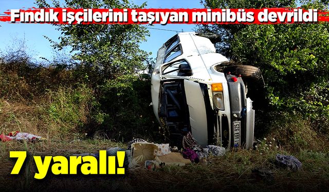 Fındık işçilerini taşıyan minibüs devrildi! 7 yaralı!