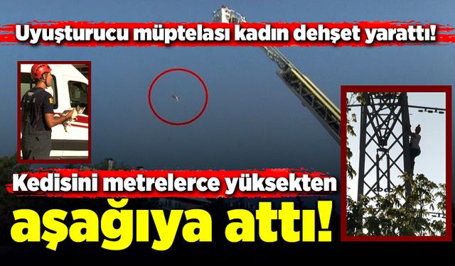 Uyuşturucu müptelası kadın kedisini metrelerce yüksekten aşağıya attı!