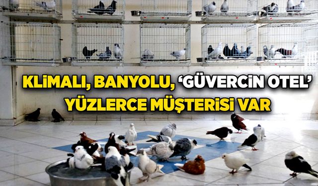 Klimalı, banyolu, ‘Güvercin Otel’: Yüzlerce müşterisi var!