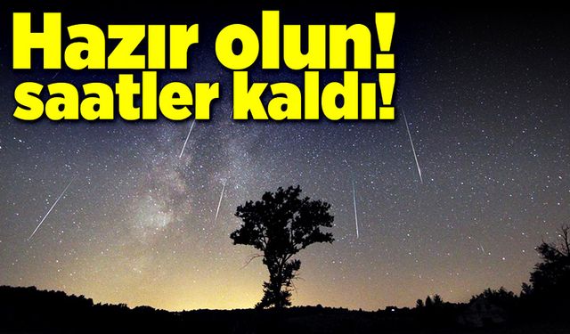 Gökyüzündeki görsel şölen Meteor yağmurlarına sayılı saatler kaldı!