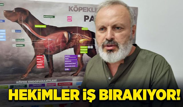 Veteriner hekimler iş bırakıyor