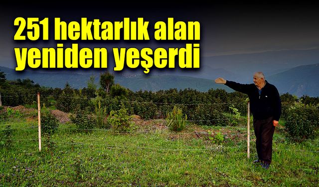 251 hektarlık orman yeniden yeşerdi