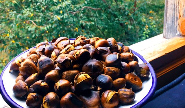 İnebolu lezzetlerinden kuzu kestanesi coğrafi tescil belgesiyle tescillendi