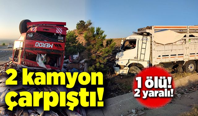 Kırıkkale'de iki kamyon çarpıştı: 1 ölü, 2 yaralı