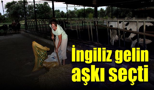 İngiliz gelin aşkı için mesleğini bırakıp hayvancılık yapmaya başladı!