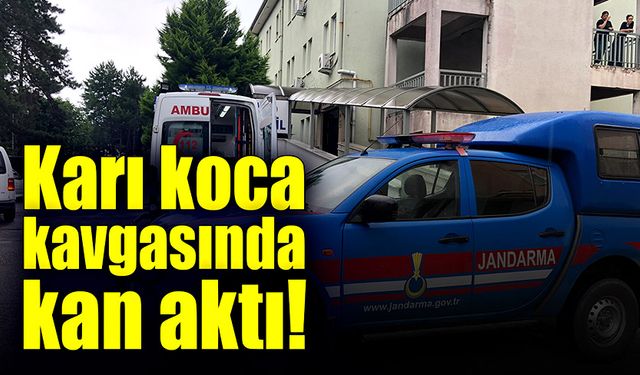 Karı koca kavgasında kan aktı!