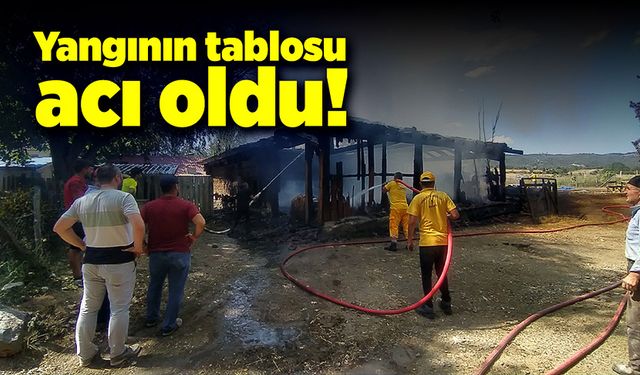 Kastamonu’daki yangın felakete yol açtı!