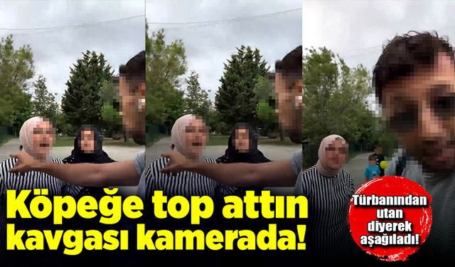 Köpeğe top attın kavgası kamerada!