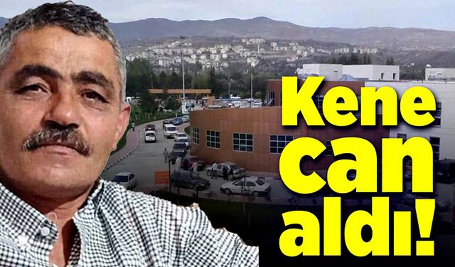 Kene can aldı!