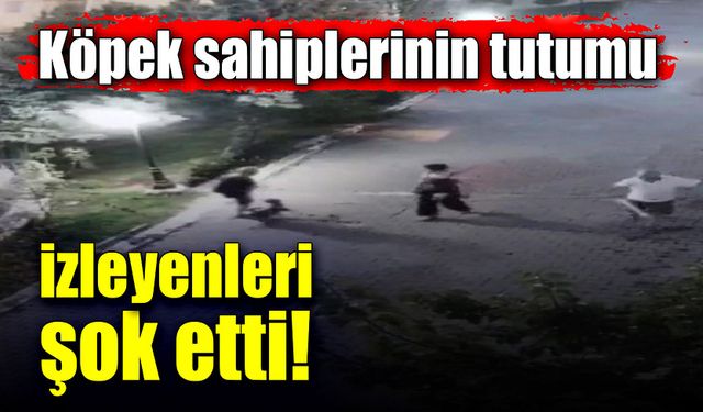 Köpek sahiplerinin tutumu, izleyenleri şok etti!