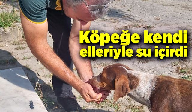 Kendi elleriyle köpeğe su içirdi