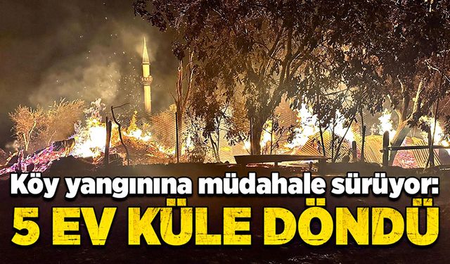 Köy yangınına müdahale sürüyor: 5 ev küle döndü