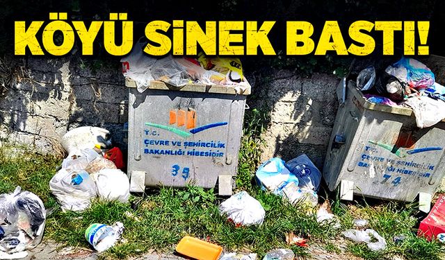 Köyü sinek bastı