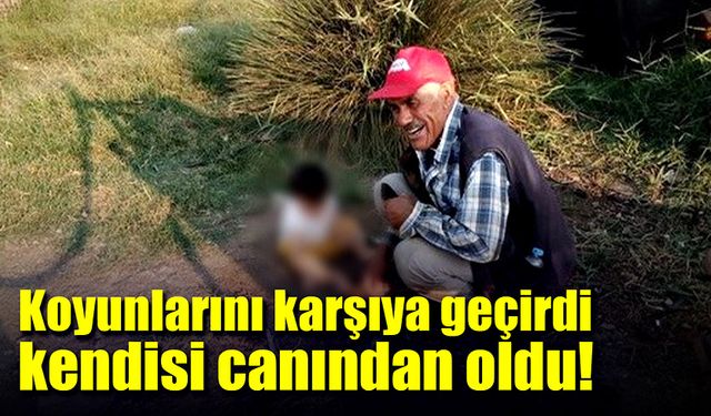 Çoban koyunlarını karşıya geçirdi, kendisi canından oldu!