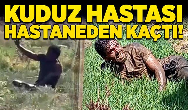 Kuduz hastası hastaneden kaçtı!