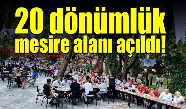 20 dönümlük mesire alanı açıldı!