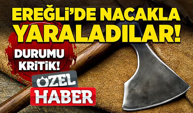 Ereğli’de nacakla yaraladılar! Durumu kritik!