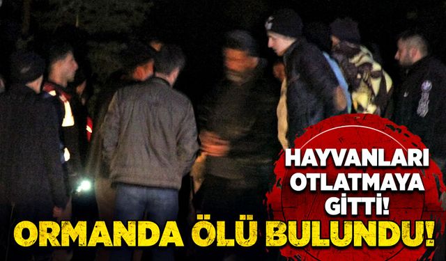 Kayıp şahıs ormanda ölü bulundu!