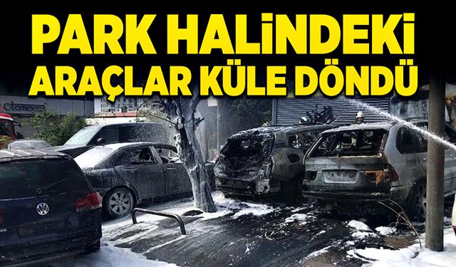 Park halindeki araçlar küle döndü!