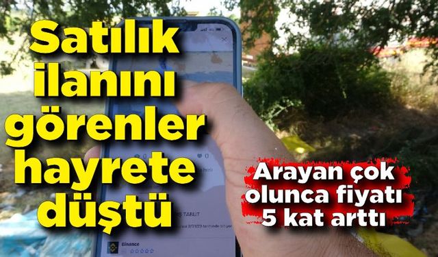 Bu ilanı görenler hayrete düştü! Arayan çok olunca fiyatı yükseltti