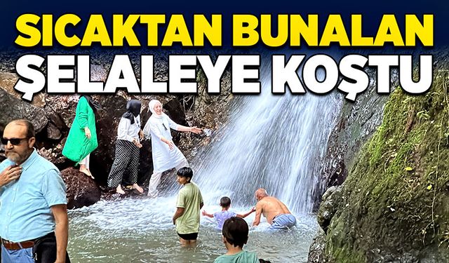 Sıcaktan bunalan şelaleye koştu