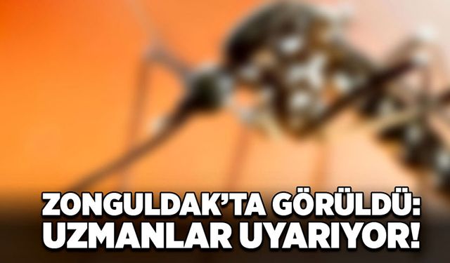 Zonguldak’ta görüldü: Uzmanlar uyarıyor!