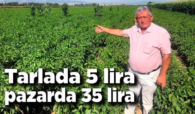 Tarlada 5 liraya pazarda 35 lira