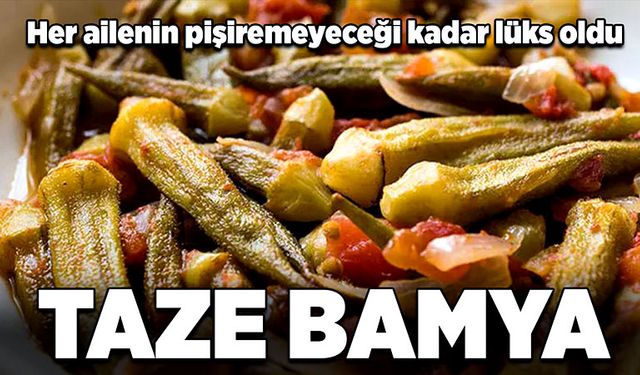 Her ailenin pişiremeyeceği kadar lüks oldu:  Taze bamya