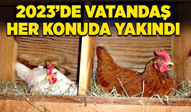 2023’de vatandaş her konuda yakındı