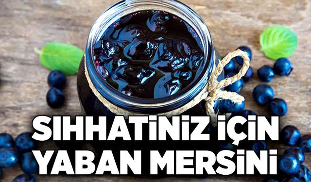 Sıhhatiniz için Yaban Mersini