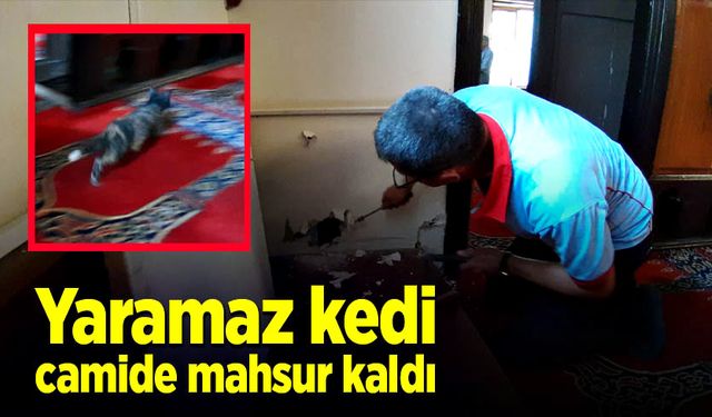 Minberin arkasındaki boşluktan aşağı düşen kedi mahsur kaldı