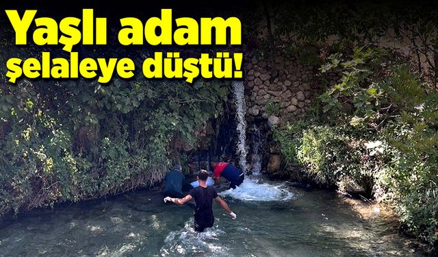 Şelaleye düşen yaşlı adam boğularak can verdi!