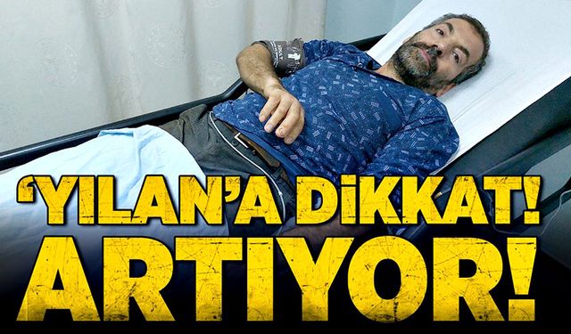 ‘Yılan’a dikkat! Artıyor!