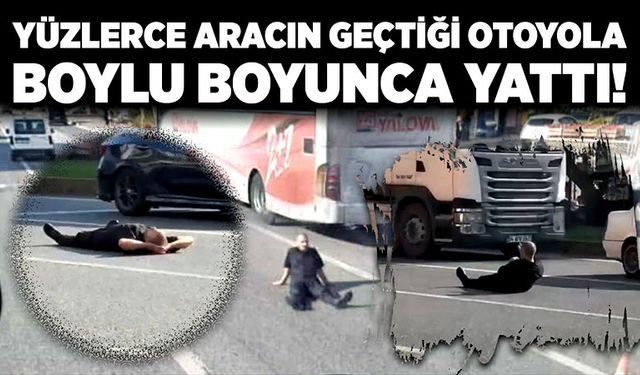 Yüzlerce aracın geçtiği otoyola boylu boyunca yattı!