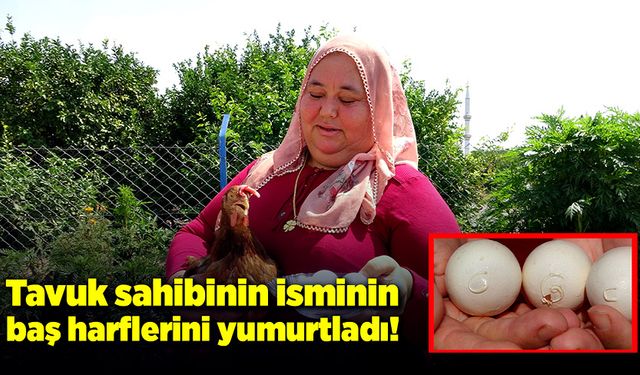 Tavuk, sahibinin isminin baş harflerini yumurtladı