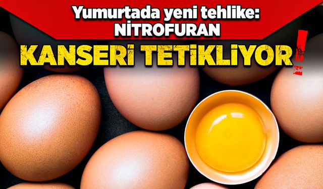 Yumurtada yeni tehlike: Nitrofuran; Kanseri tetikliyor!