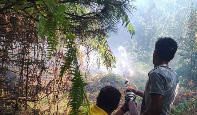 Kastamonu’daki orman yangını büyümeden söndürüldü